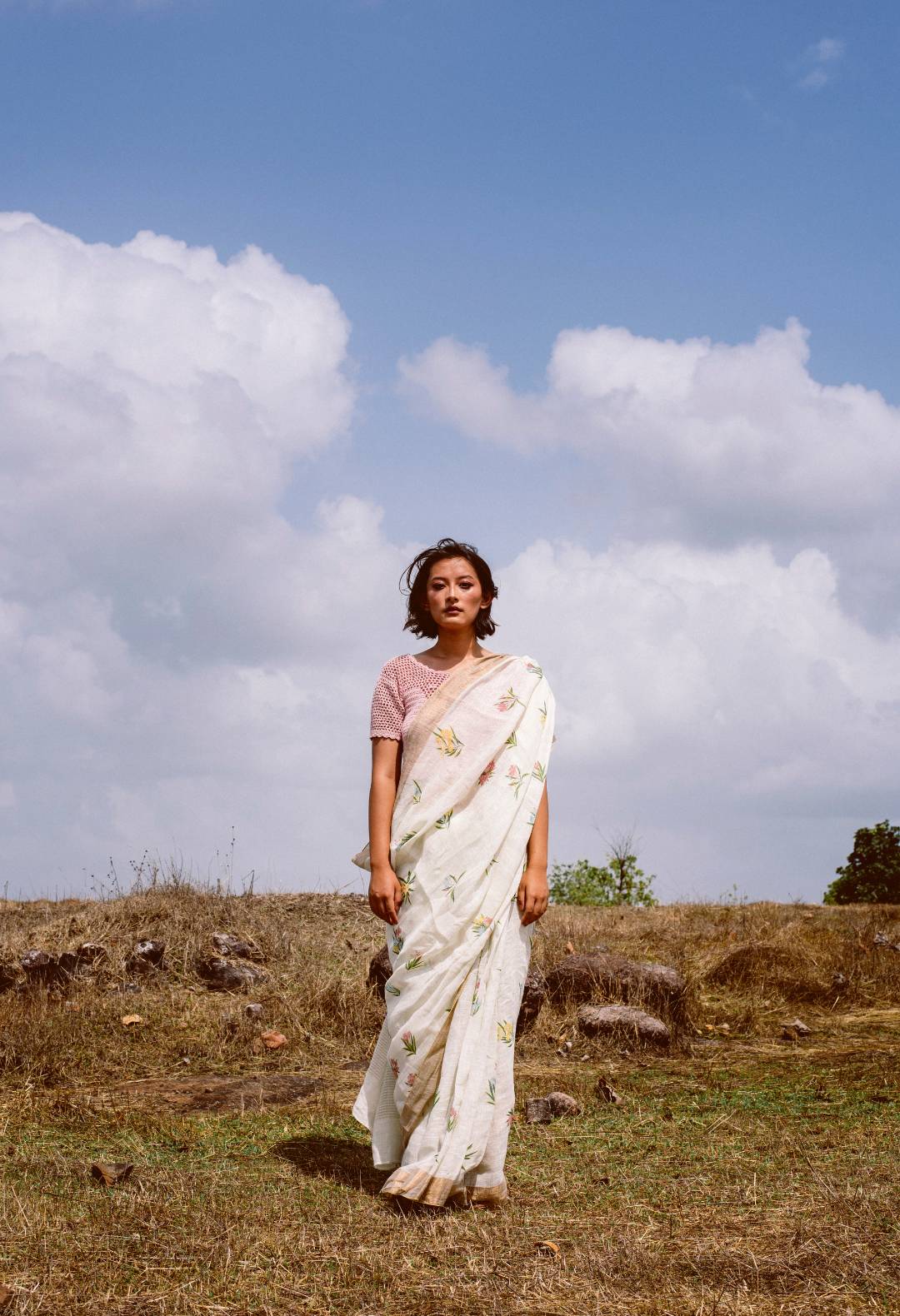 Korra Kaner Linen Sari